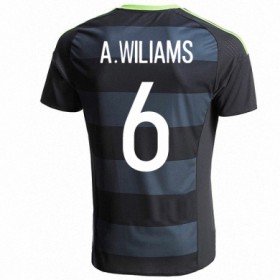 Camisolas de Futebol País de Gales ASHLEY WILLIAMS Equipamento Alternativa Euro 2016