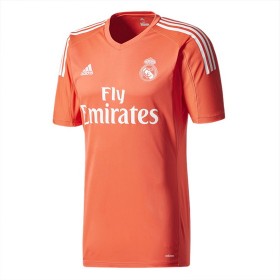 Camisolas de Futebol Real Madrid Guarda Redes Equipamento Alternativa 2017/18 Manga Curta